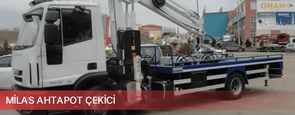 Milas İlçemi Ahtapot Çekici