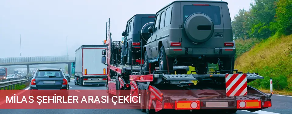 Milas İlçemi Şehirler Arası Çekici